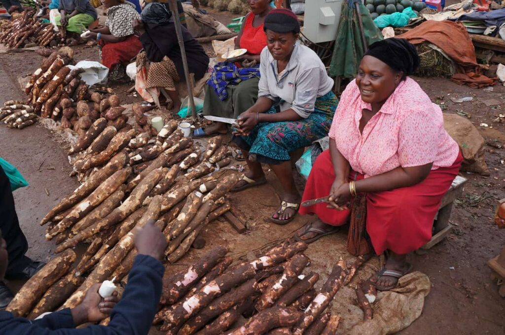 cassava-donne-africa